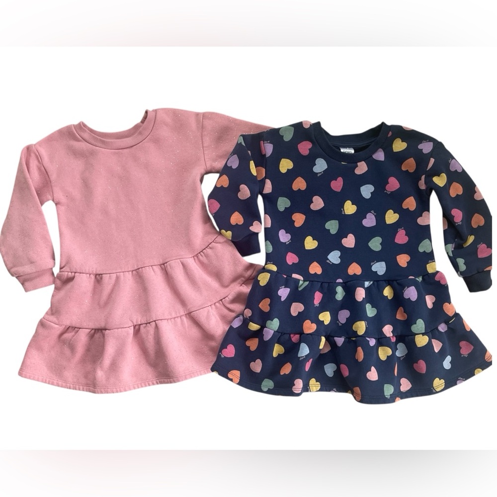 Anko fleece Long Sleeve Dresses size 3T